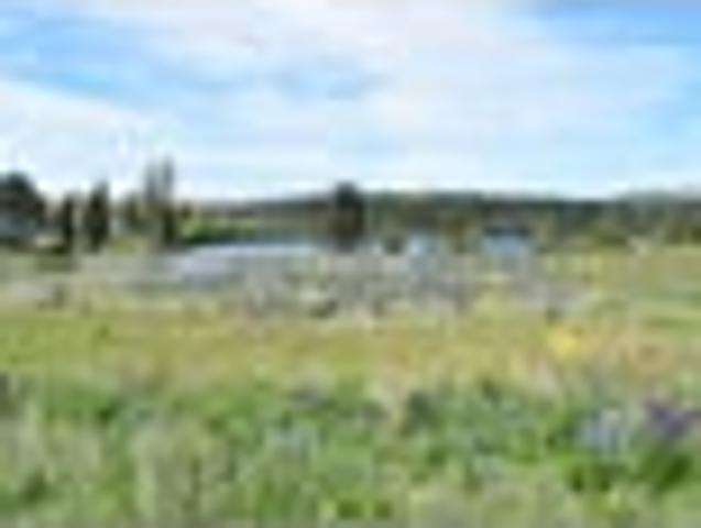 Land for sale in Lake Ohau, Canterbury