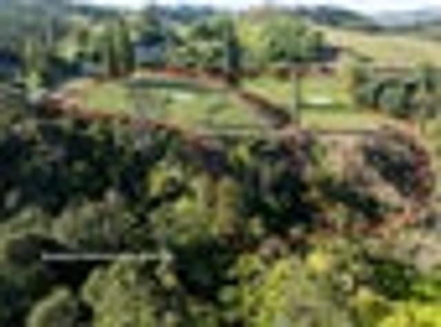 Land for sale in Waikato