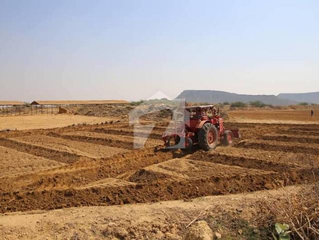 Land for sale in North Waziristan, Federally Administered Tribal Areas fata