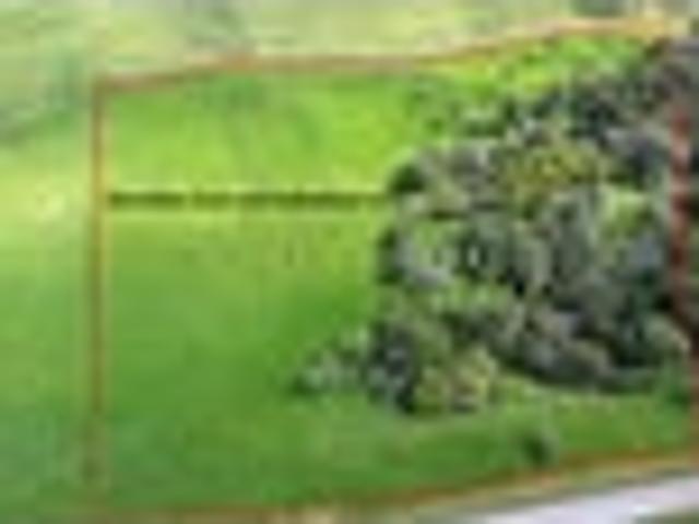 Land for sale in Northland