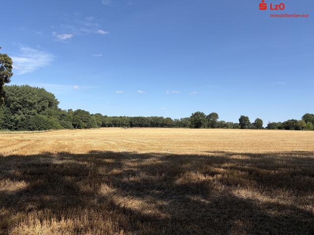 Landwirtschaft kaufen in Visbek, Niedersachsen