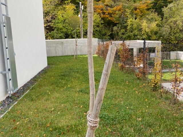 Haus mieten in Klosterneuburg, Bezirk Tulln