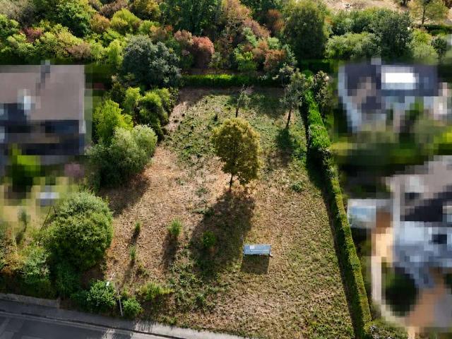Erdgeschosswohnung kaufen in Wiesbaden
