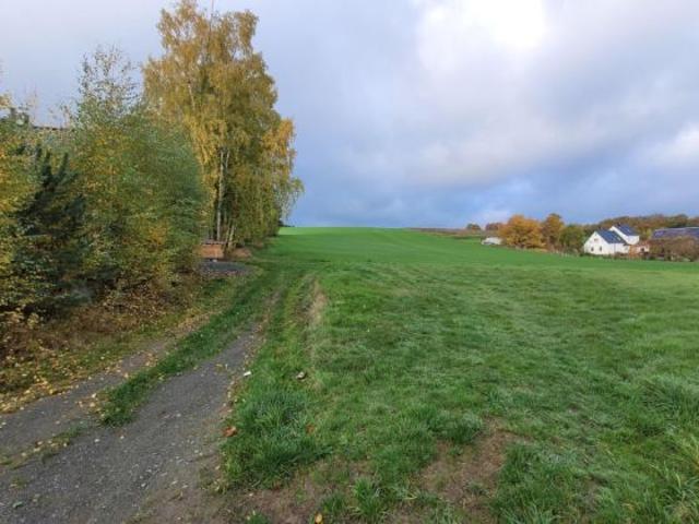 Erdgeschosswohnung kaufen in Triebel, Sachsen