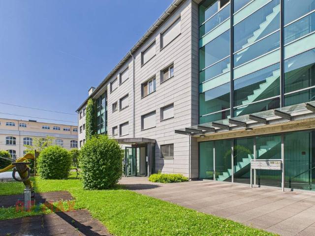 Gewerbe kaufen in Bregenz, Vorarlberg