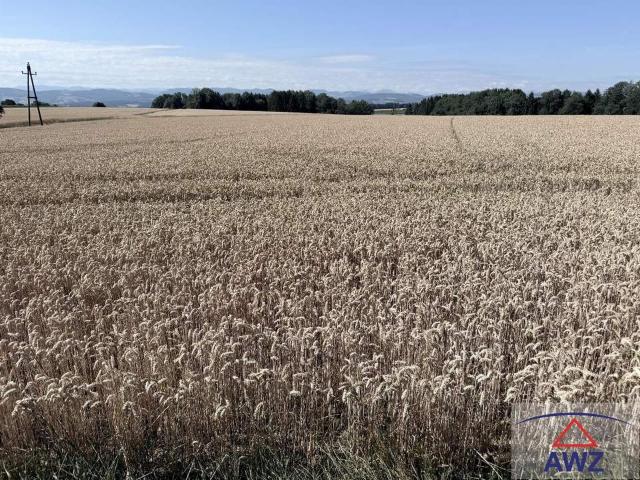 Grundstück kaufen in Amstetten, Niederösterreich