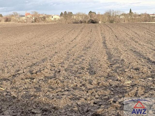 Grundstück kaufen in Korneuburg, Niederösterreich