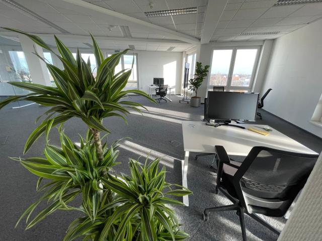 Büro mieten in Borsigwalde, Berlin