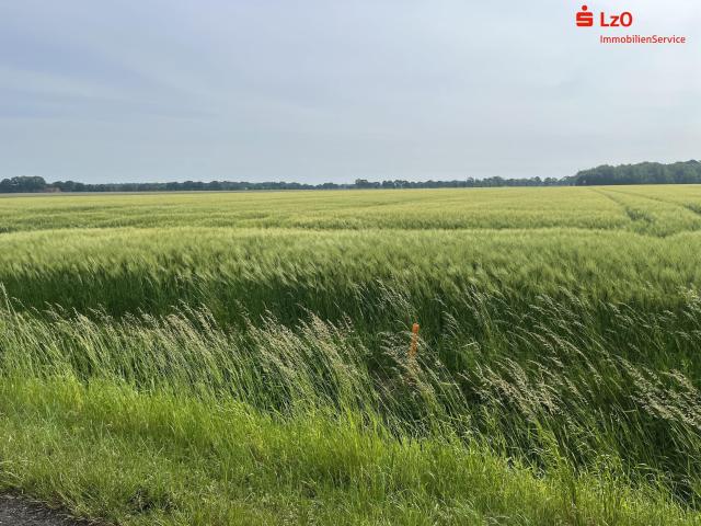 Landwirtschaft kaufen in Achternholt, Wardenburg