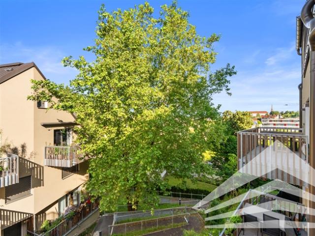 Etagenwohnung kaufen in Linz, Alt-Urfahr