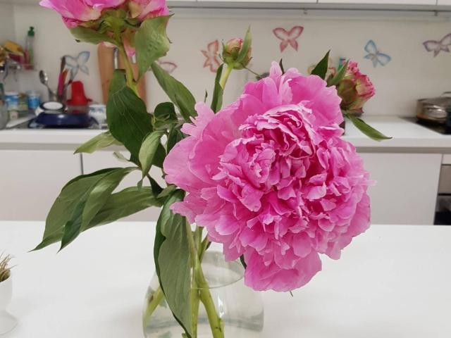 Apartment mieten in Ahorn, Oberösterreich