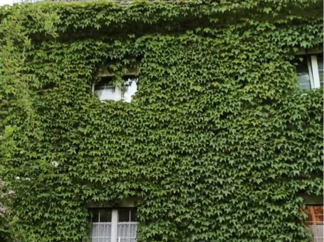 Erdgeschosswohnung mieten in Traunstein, Bayern