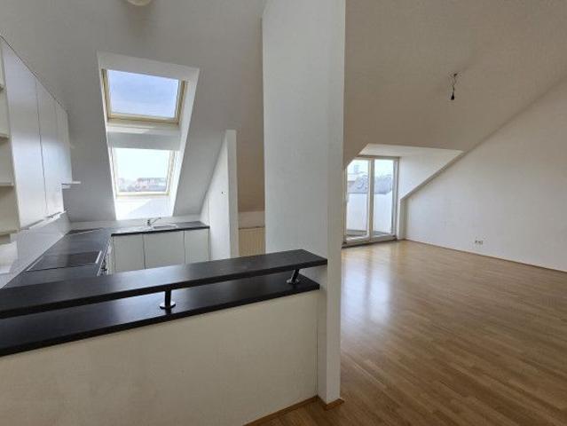 Apartment mieten in Thurygrund, Wien