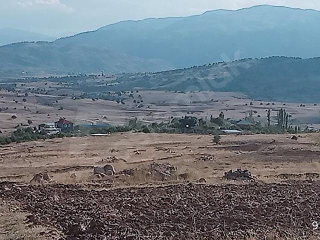 Taşkesiği, Korkuteli içerisinde satılık Arsa