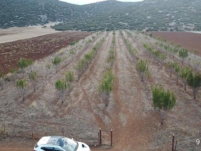 Esenyurt, Korkuteli içerisinde satılık Arsa