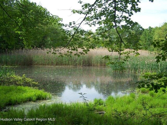 Land for sale in Kingston