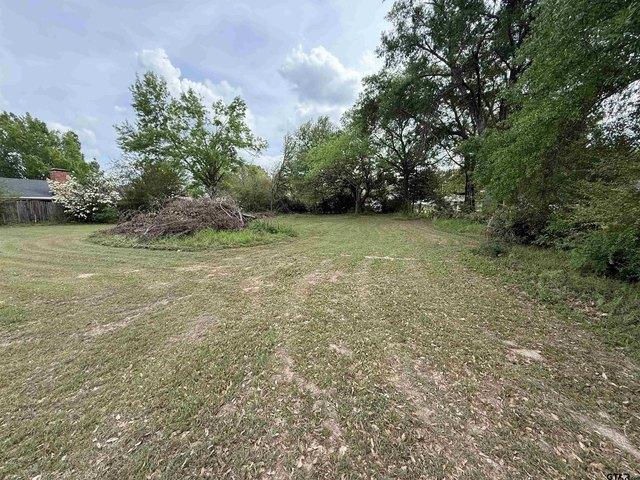 Land for sale in Winona, Smith County