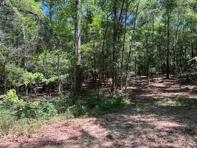 Land for sale in Waynesboro, Mississippi