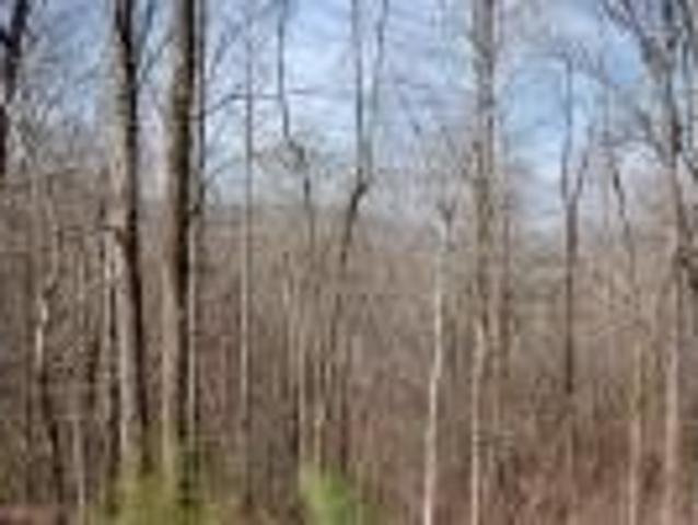 Land for sale in Hayesville