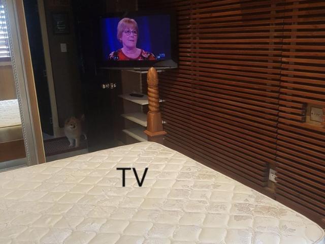 Room for rent in Toombul, Queensland