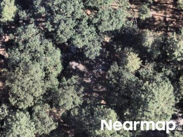 House for sale in Butte, California
