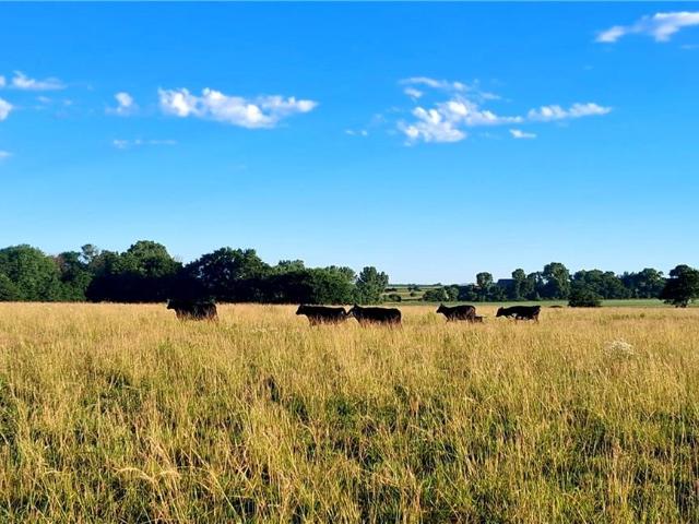 Farm for sale in Kansas