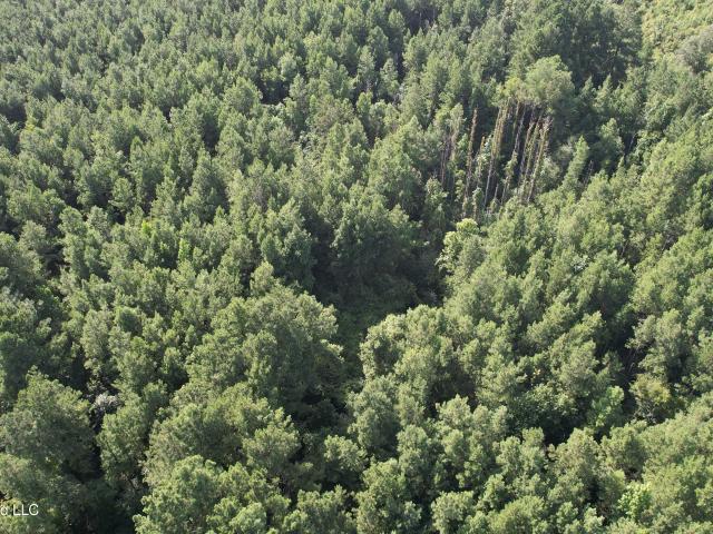 Land for sale in Liberty, Mississippi