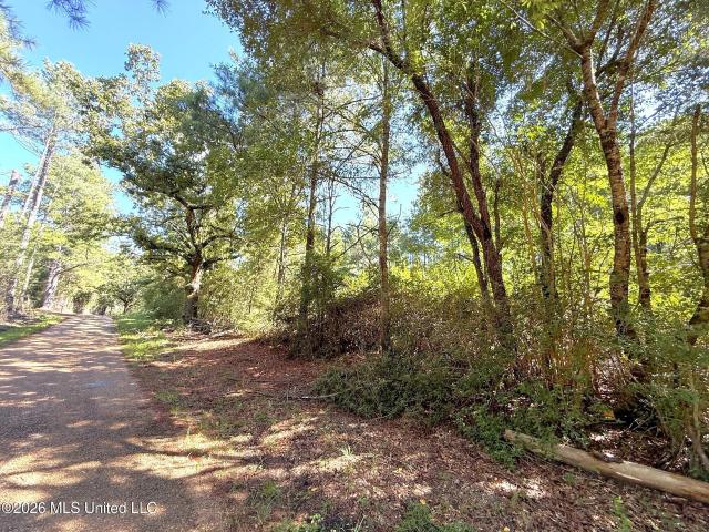 Land for sale in Beechwood, Liberty