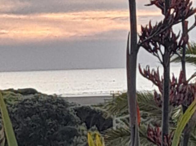 House for rent in Te Henga / Bethells Beach, Waitākere Ranges