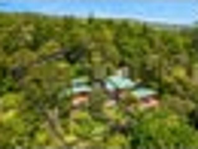House for rent in Waitākere Ranges, Oratia
