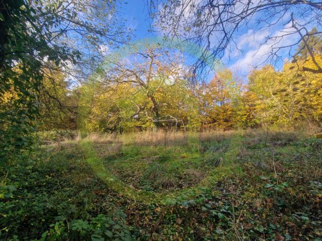 Terrain vente à Pontoise, Béthemont-la-forêt