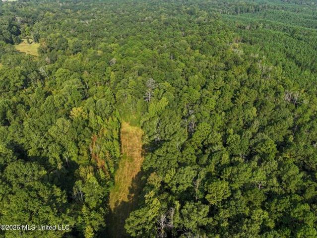 Land for sale in Crystal Springs, Mississippi