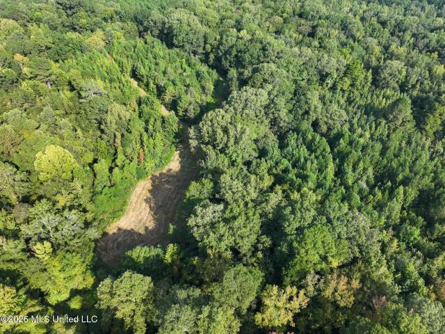 Land for sale in Crystal Springs, Mississippi