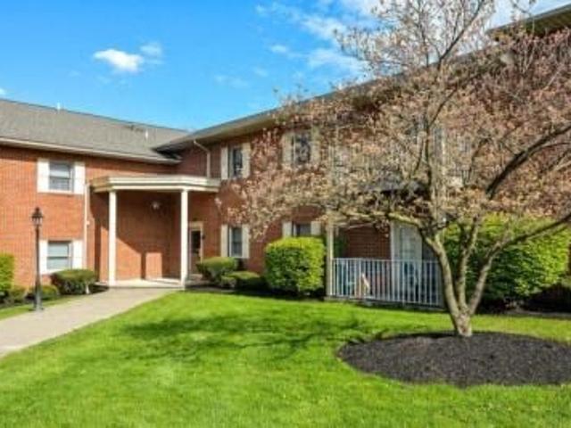 Apartment for rent in Bethlehem