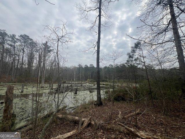 Land for sale in Grantville, Georgia