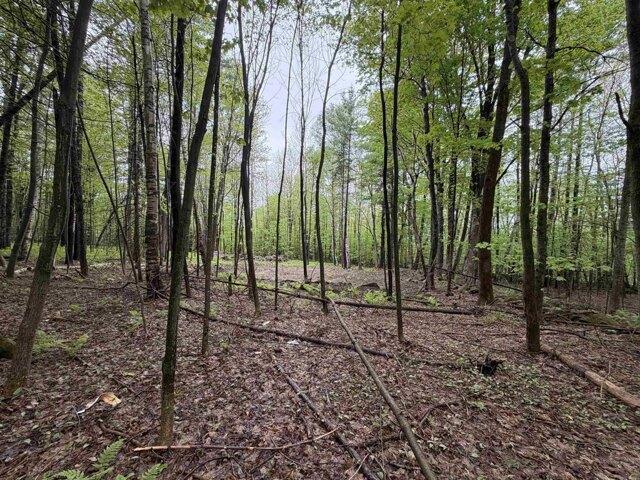 Land for sale in New Hampshire