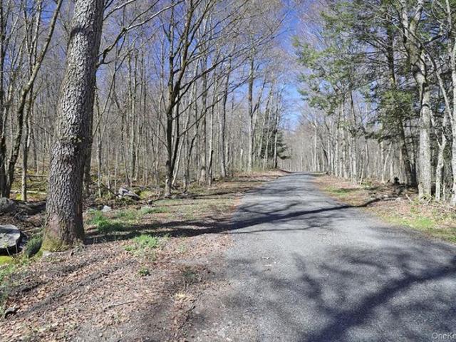 Land for sale in Callicoon Center, New York