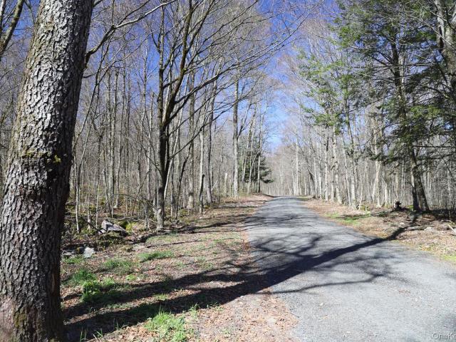 Property for sale in Callicoon Center, New York