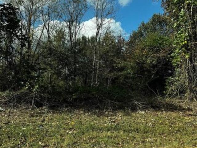 Land for sale in Kannapolis Land for sale in Kannapolis