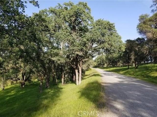 Land for sale in Butte, California