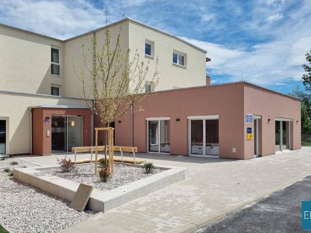 Apartment mieten in Eggendorf, Niederösterreich