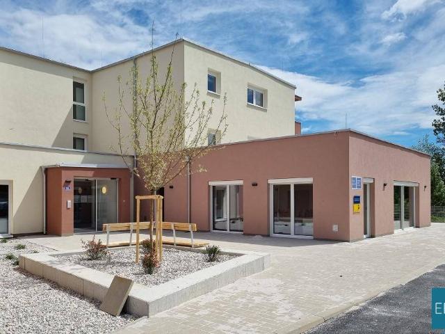 Apartment mieten in Eggendorf, Niederösterreich