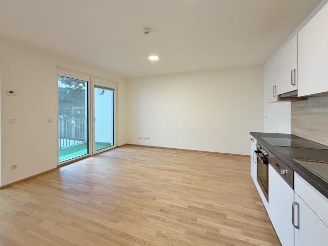 Apartment mieten in Baden, Niederösterreich