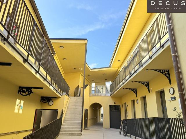 Wohnung mieten in Baden, Bezirk Baden