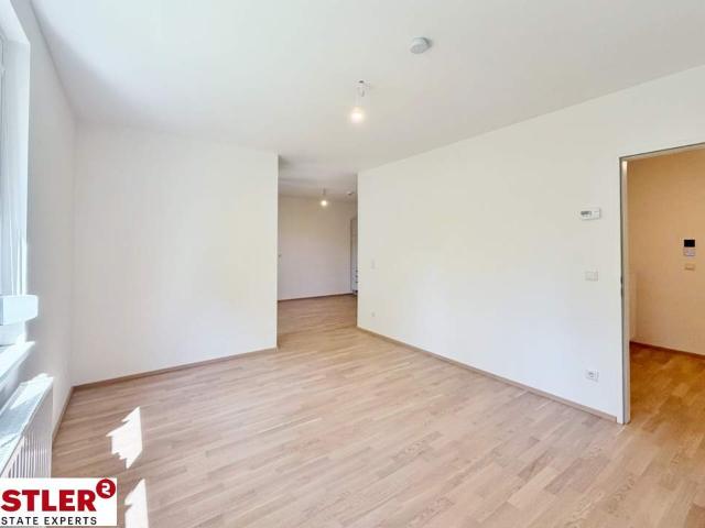 Wohnung mieten in Baden, Niederösterreich