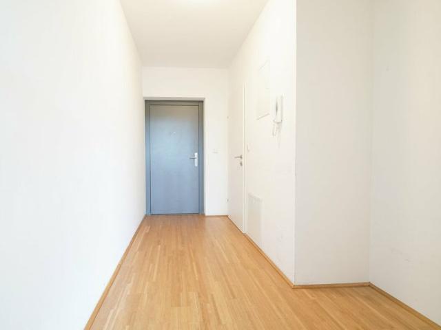 Apartment mieten in Ernsthofen, Mühlrading