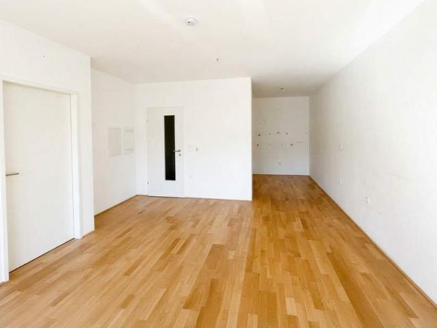 Wohnung mieten in Wiener, Neustadtl an der Donau