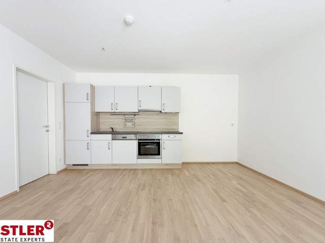 Wohnung mieten in Baden, Niederösterreich