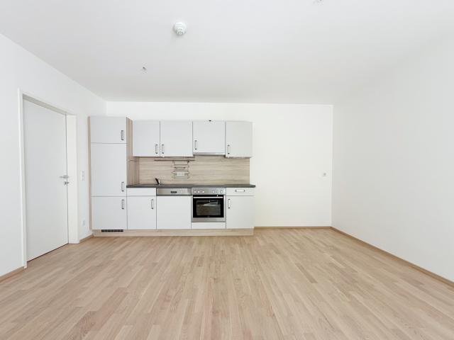 Apartment mieten in Baden, Niederösterreich