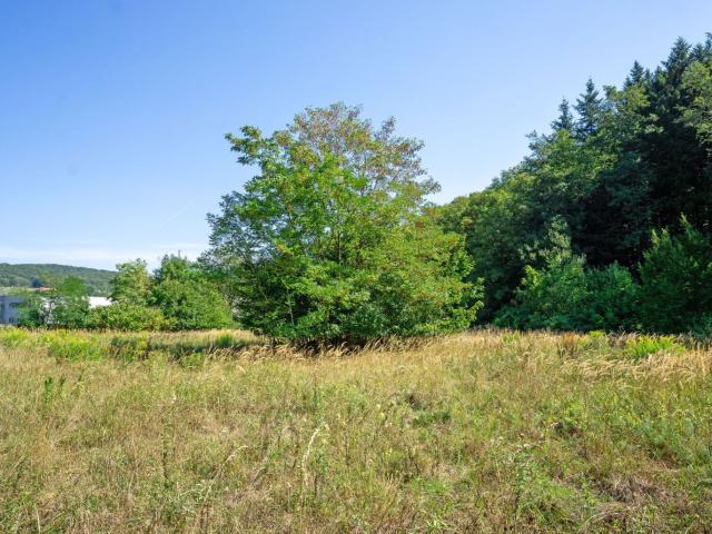 Grundstück kaufen in Pressbaum, Niederösterreich